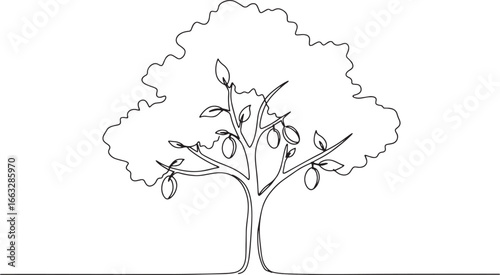 Elegant single line drawing of a plum tree with ripe fruit on wh