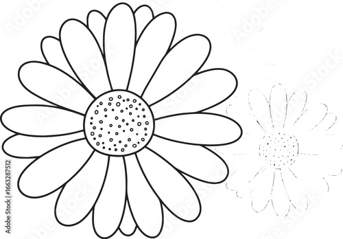 Delicate outlined chamomile flowers for coloring pages and artis