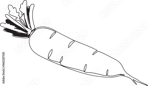 Elegant single line drawing of a daikon radish with fresh green