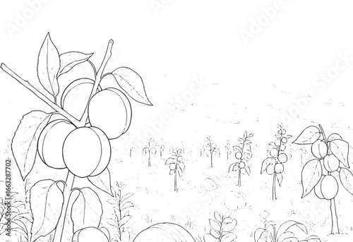 Apricot Orchard Line Art Illustration with Hills and Cloudy Sky