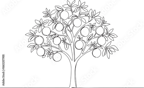 Elegant continuous line drawing of a citrus tree with ripening f