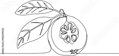 Minimalist quince illustration showcasing single line technique