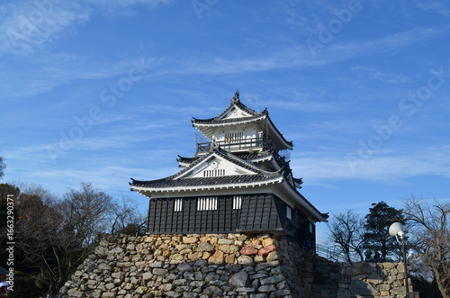【愛知県】・岡崎城・天守閣