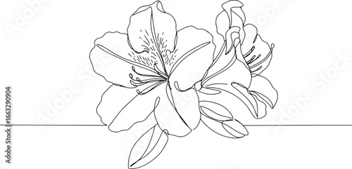 Elegant azalea flower continuous line drawing for minimalist bot
