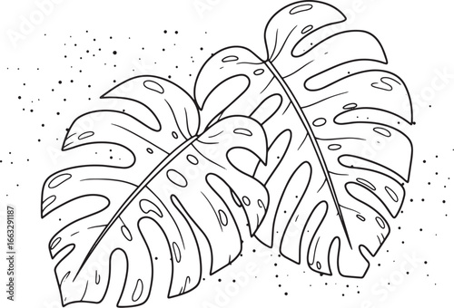 Outlined tropical monstera deliciosa leaves with speckled backgr