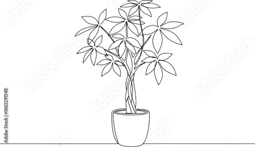 Single line drawing of a money tree plant in a pot minimal style