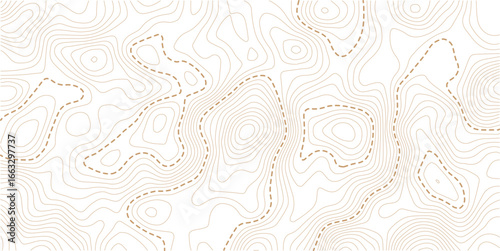 Contour topographic map. Geographic grid map background. Vector illustration. Design illustration for wall art, fabric, packaging, web, banner, wallpaper.