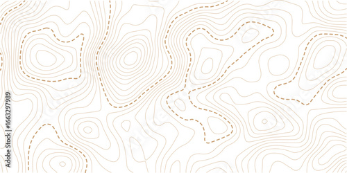 Contour topographic map. Geographic grid map background. Vector illustration. Design illustration for wall art, fabric, packaging, web, banner, wallpaper.