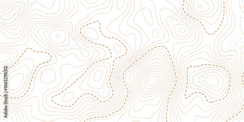 Topographic map pattern background vector. Abstract mountain terrain map background with abstract shape line texture