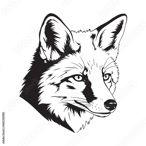 A detailed black and white vector illustration of a fox head, showcasing its features and fur texture.