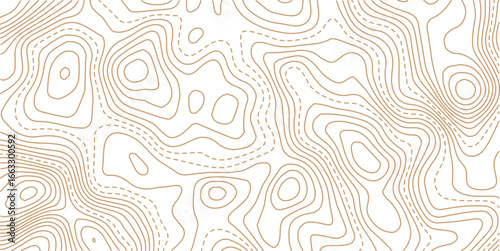 Topography and geography map grid abstract backdrop. Abstract topographic contours map background. Contour Line Pattern in Black and White. Luxury gold abstract line art background vector