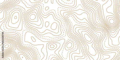 Topography and geography map grid abstract backdrop. Abstract topographic contours map background. Contour Line Pattern in Black and White. Luxury gold abstract line art background vector