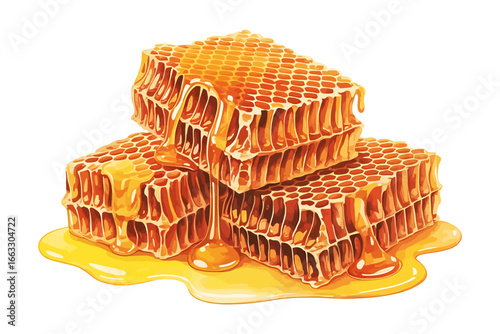 Honeycomb Honey Sweet Treat Illustration