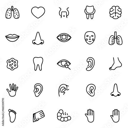 Collection of simple line icons representing human body parts and senses