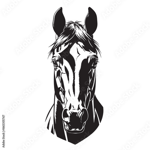 A striking black and white portrait of a horse's head, facing forward with detailed features.