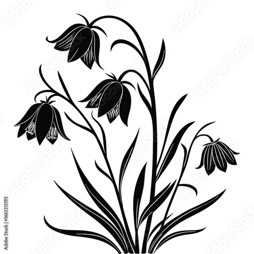 Black Silhouette of Bellflowers and Leaves on a White Background floral black and white