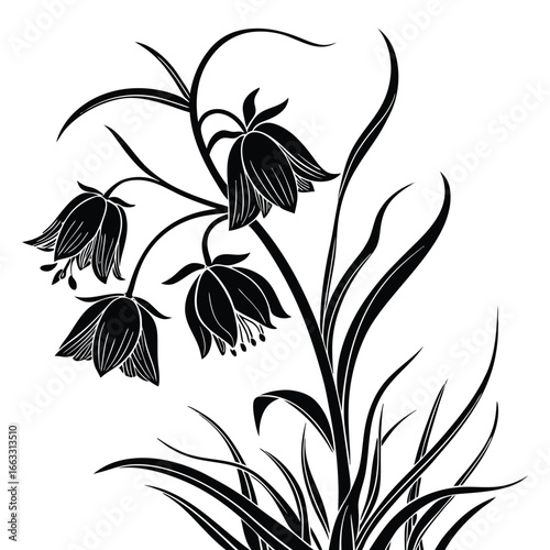 Black Silhouette of Campanula Flowers and Grass on a White Background floral black and white