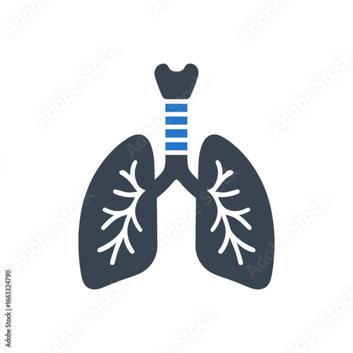 Trachea Lungs Icon