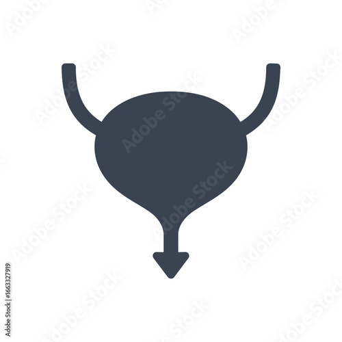 Urinary Bladder Anatomy Icon
