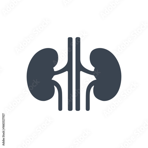 Kidney Urinary System Icon