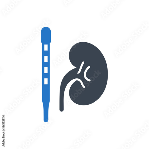 Kidney Catheterization Icon