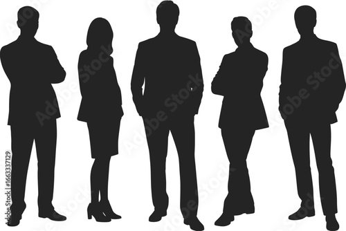 Professional business team silhouettes, confident corporate executives standing, teamwork and leadership concept, diverse group collaboration, successful business meeting,