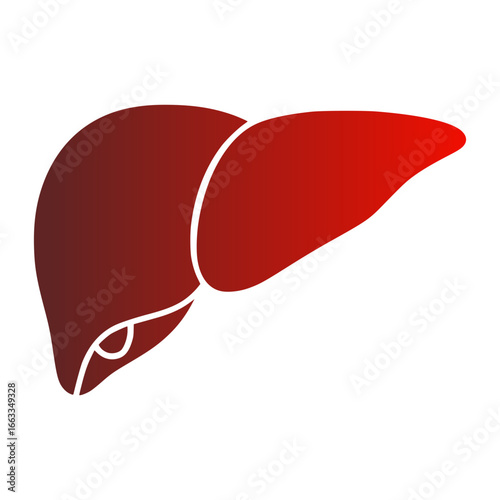 liver icon with a vibrant red gradient, perfect for medical, health, and science communication. Essential for healthcare branding and educational content.