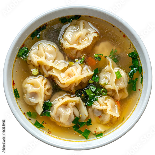 Wonton Soup Bowl and Dumplings