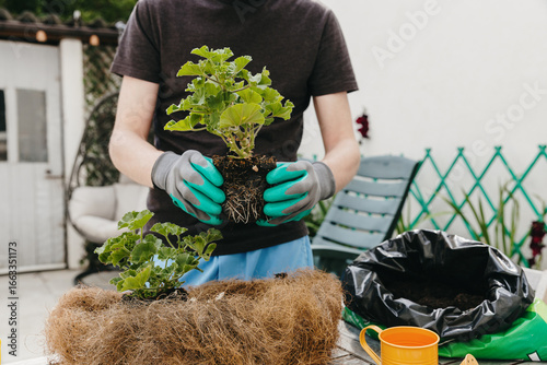 One man is planting flowers in a pot in the backyard during the day.One man plants flower seedlings in a pot in the backyard during the day.