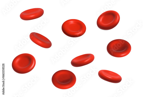3d realistic vector icon illustration. Blood cells isolated on white background.