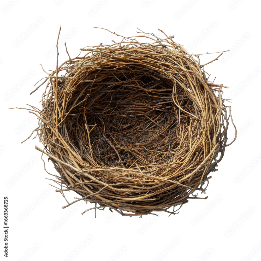 Obraz premium Empty bird nest made of twigs and branches, isolated on transparent background