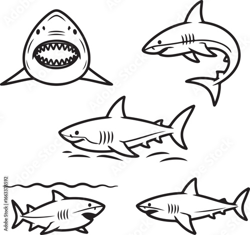 Hand-Drawn Shark Vector Icon Pack — Aggressive Great White Teeth, Ocean Predator Silhouettes, Shark Fin Above Water, Hunting Pose, Marine Wildlife Outline Graphics