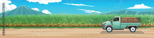Horizontal or Landscape view of dirt road with a background of sugarcane farmland. Pickup trucks for agriculture. Driving man in side car. Background of mountain under blue sky and white clouds.