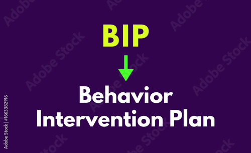 BIP Meaning, Behavior Intervention Plan