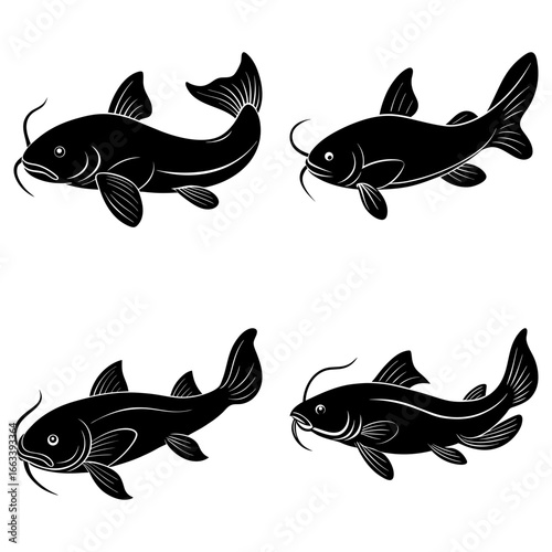 Four catfish illustrations in black silhouette swimming in different directions on a white background