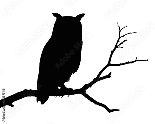 Majestic great horned owl perched on a bare tree branch silhouette isolated on white background