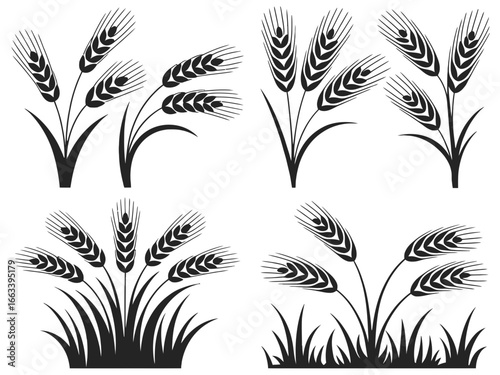 Collection of wheat stalk silhouettes isolated on white background