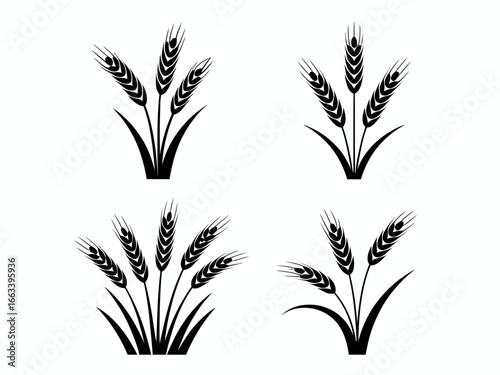 Four black wheat stalk silhouettes isolated on white background