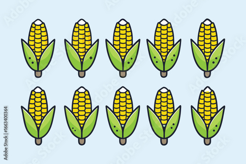 Fresh corn cobs with vibrant yellow kernels and green husks, perfect for food design projects