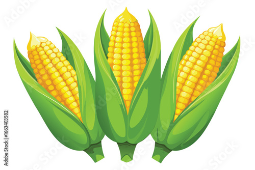 Vibrant fresh corn on the cob kernels nestled in lush green husks, perfect for healthy eating and harvest themes.