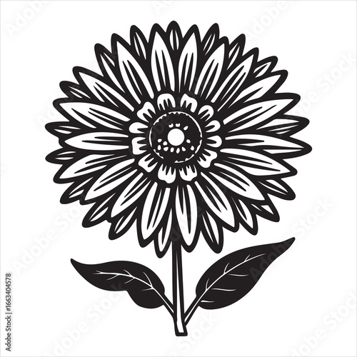 A Sunny Close-up of a Calendula Flower, a Vibrant and Cheerful Herbal Plant with Edible Petals Used for Natural Remedies and Skincare