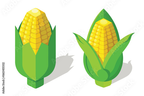 Fresh yellow corn cobs with vibrant green husks, perfect for healthy eating and harvest themes