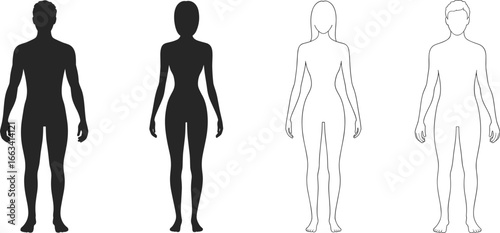 Male and female human body silhouettes and outlines, anatomical front view, gender comparison chart, medical illustration, vector design, anatomy reference template