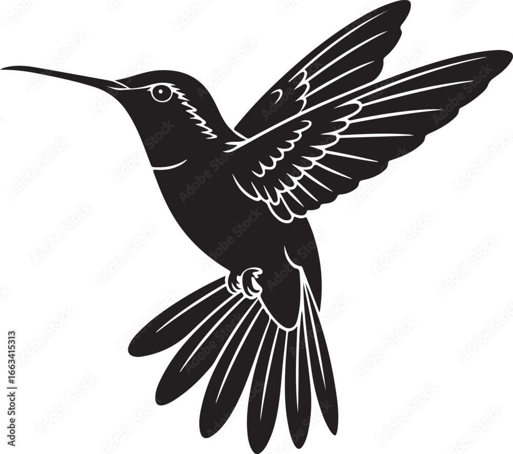 Fototapeta premium Black silhouette of a flying hummingbird nature wildlife