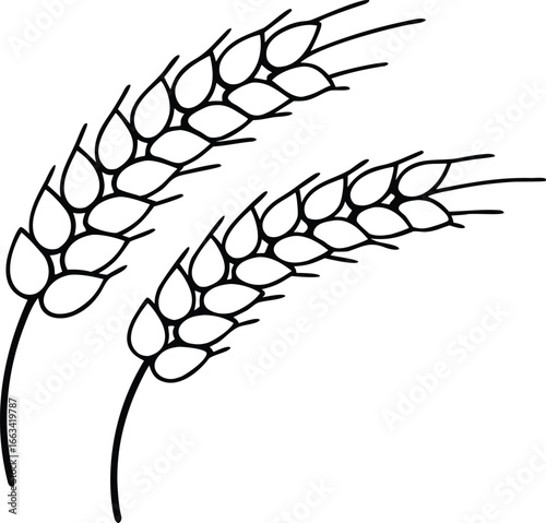 Two stems of wheat icon on a transparent background.