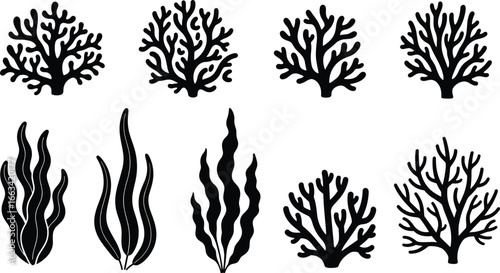 Seaweed and coral silhouettes, black vector marine plants set, underwater flora illustration, ocean botanical elements, aquatic nature design for decoration and education