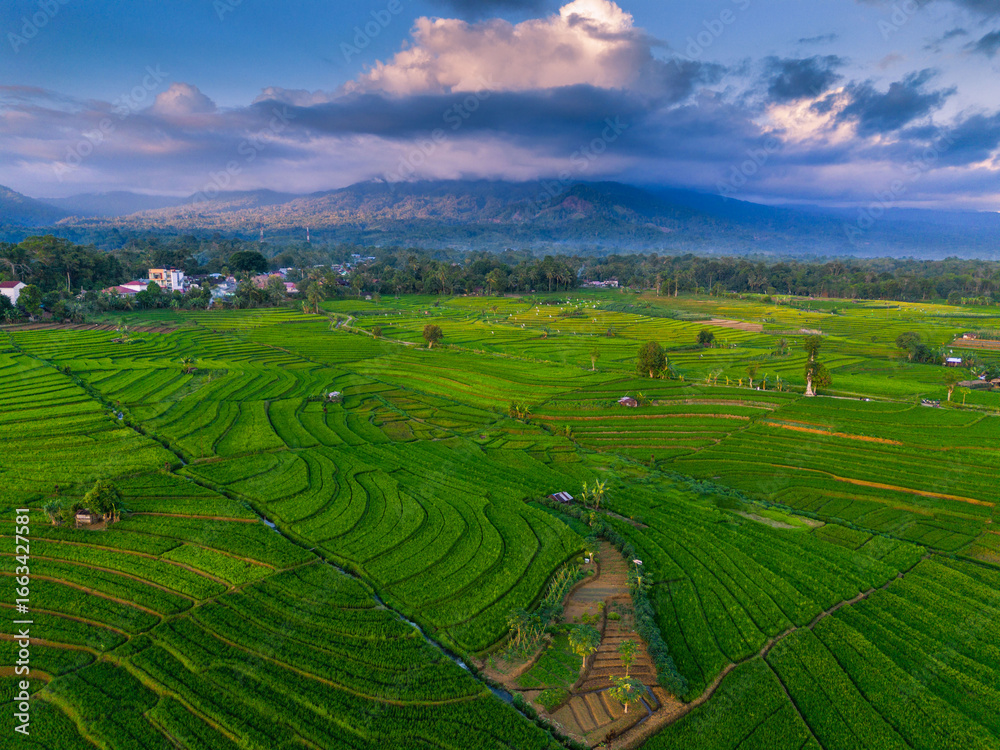 Fototapeta premium Wonderful sunrise scenery indonesia nature mountain valley forest with bright sky