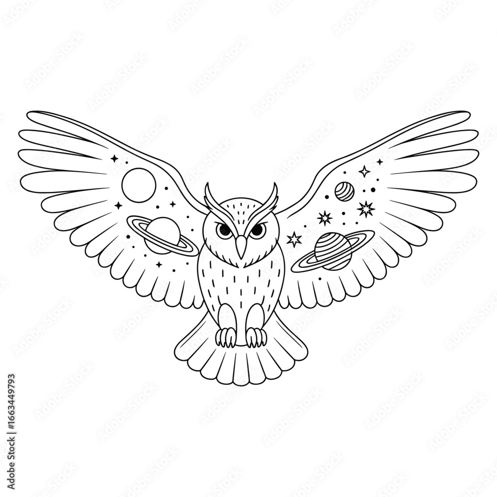 Fototapeta premium Outline of an owl with wings spread showing planets and stars bird
