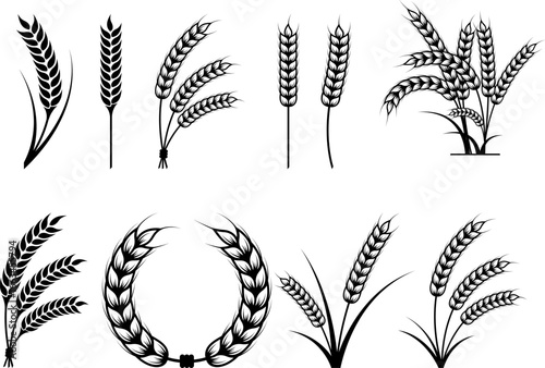 Wheat Eps, Vector Images Black and White