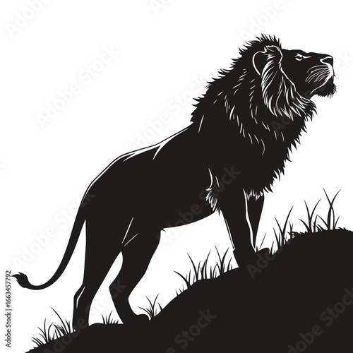 lion black and white